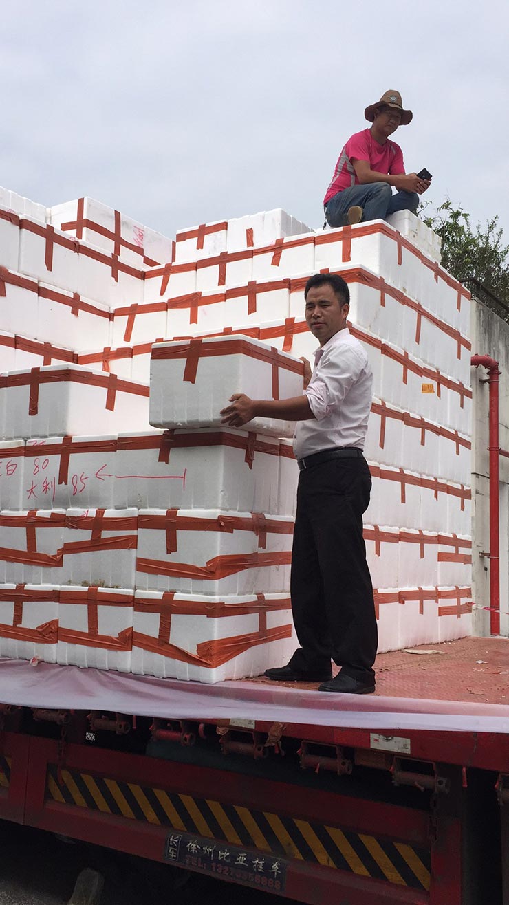 Z6·尊龙凯时「中国区」官方网站