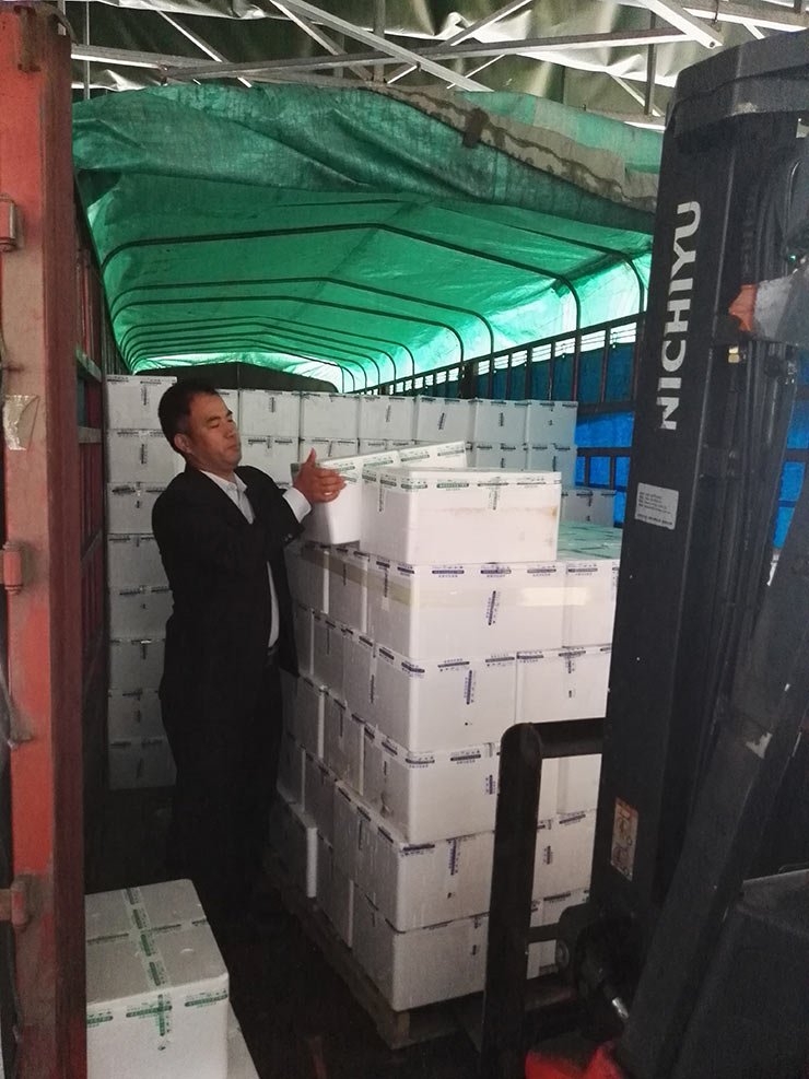 Z6·尊龙凯时「中国区」官方网站