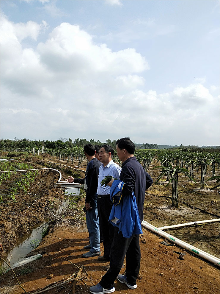 Z6·尊龙凯时「中国区」官方网站