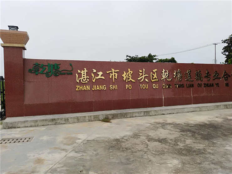 Z6·尊龙凯时「中国区」官方网站