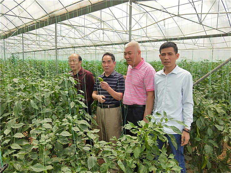 Z6·尊龙凯时「中国区」官方网站