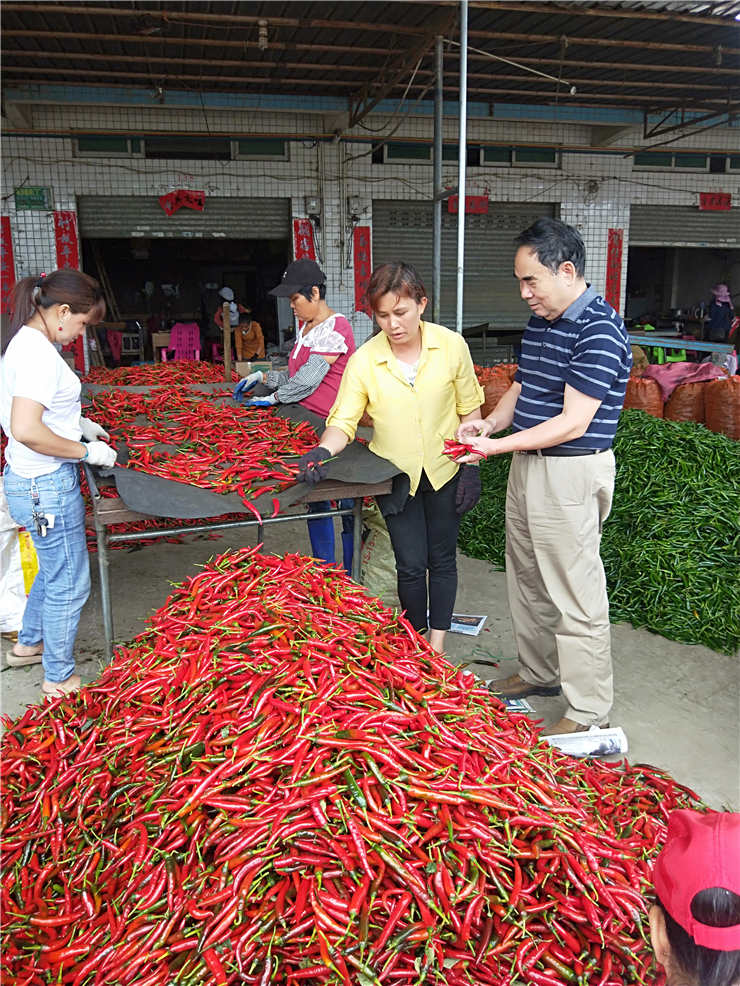 Z6·尊龙凯时「中国区」官方网站