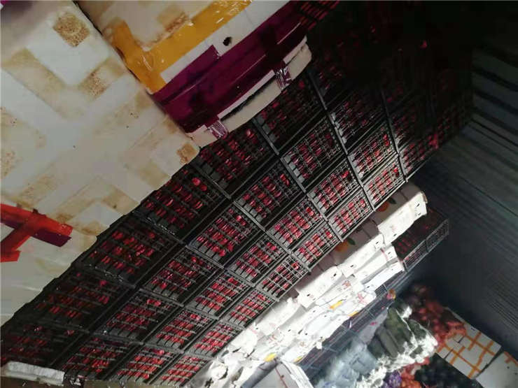 Z6·尊龙凯时「中国区」官方网站