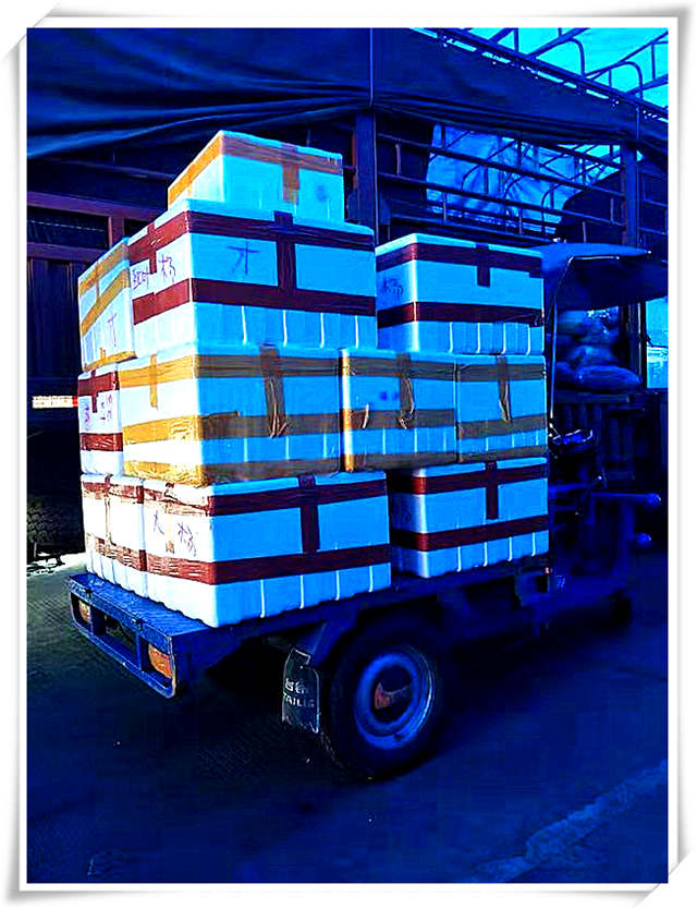 Z6·尊龙凯时「中国区」官方网站