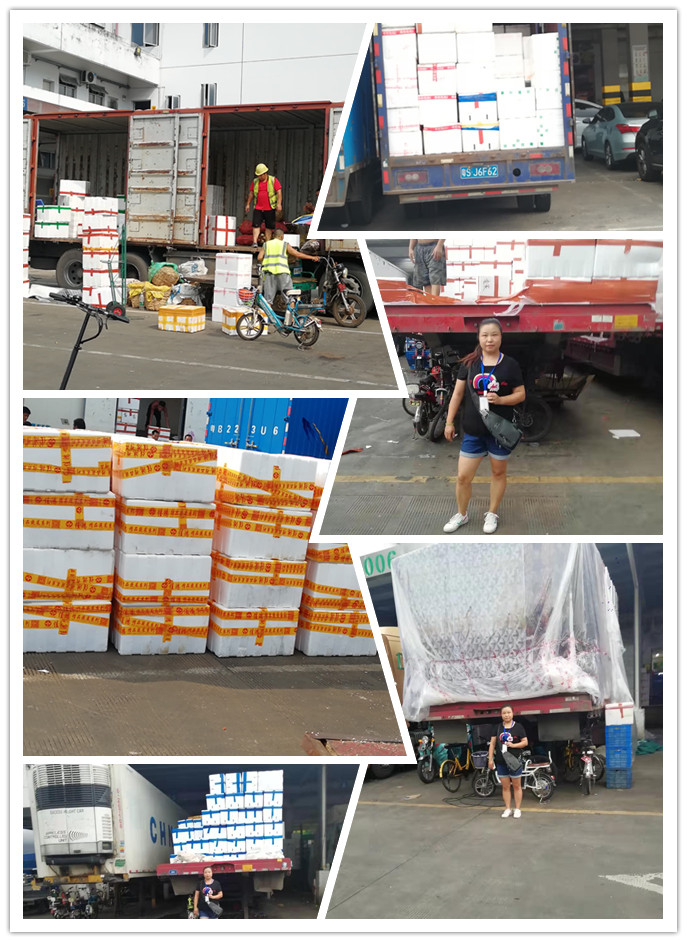 Z6·尊龙凯时「中国区」官方网站