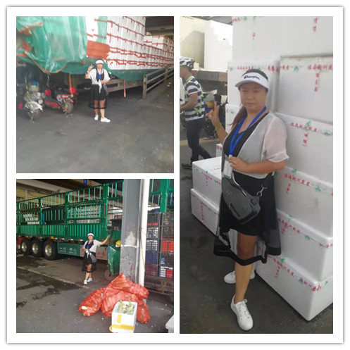 Z6·尊龙凯时「中国区」官方网站