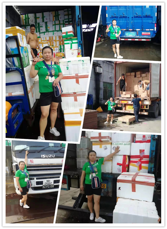 Z6·尊龙凯时「中国区」官方网站