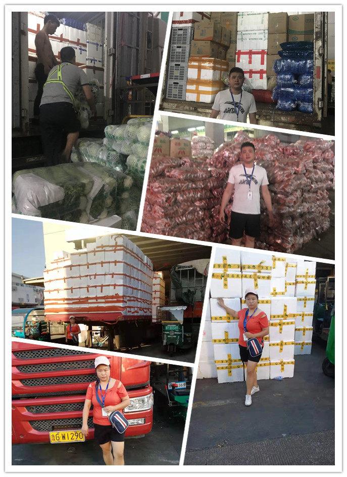 Z6·尊龙凯时「中国区」官方网站