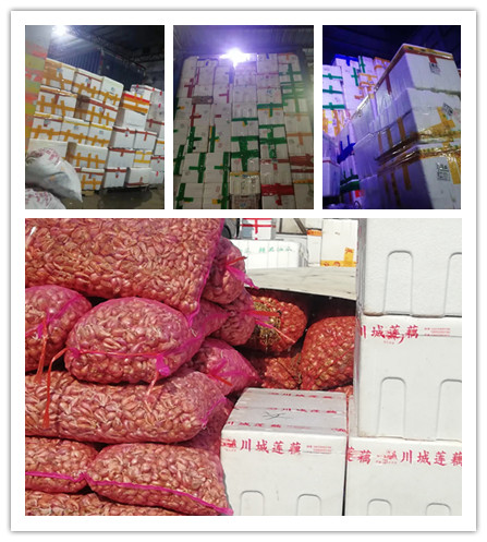 Z6·尊龙凯时「中国区」官方网站