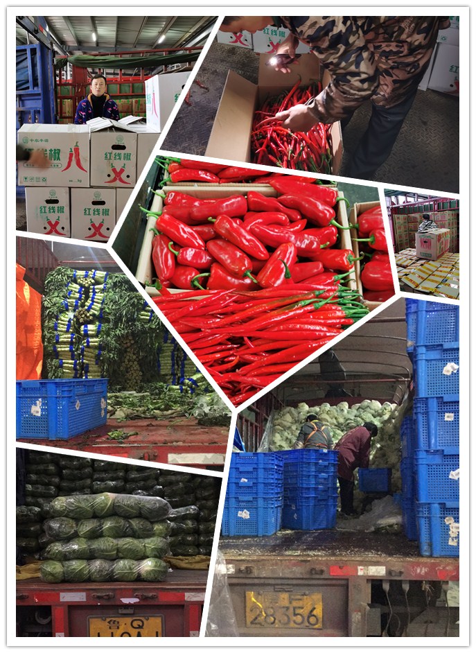 Z6·尊龙凯时「中国区」官方网站