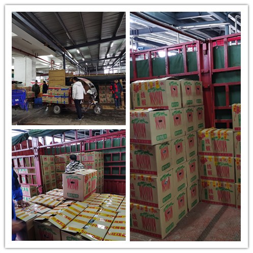 Z6·尊龙凯时「中国区」官方网站