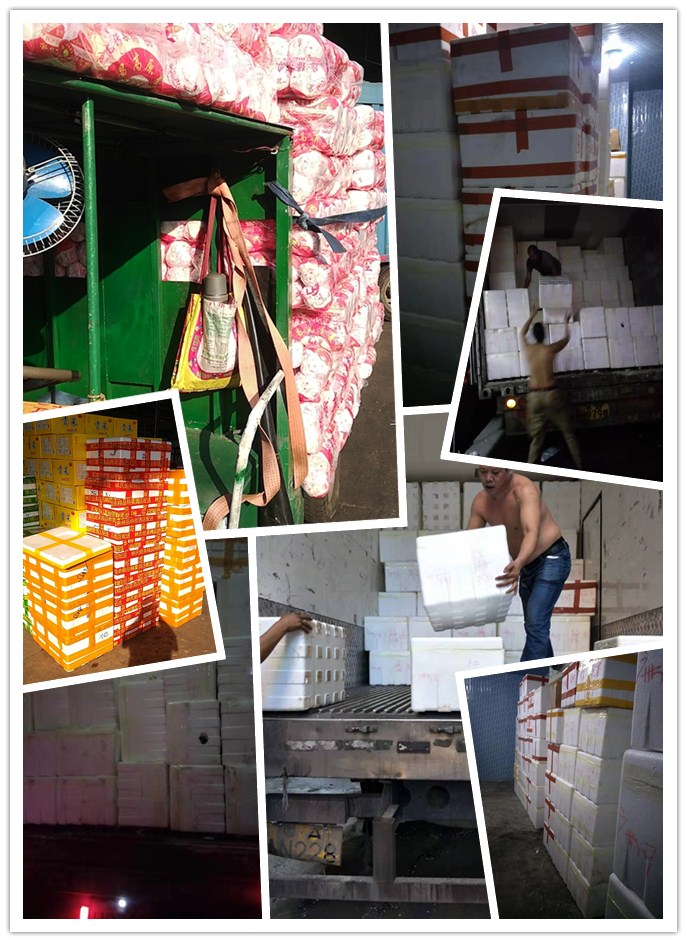 Z6·尊龙凯时「中国区」官方网站