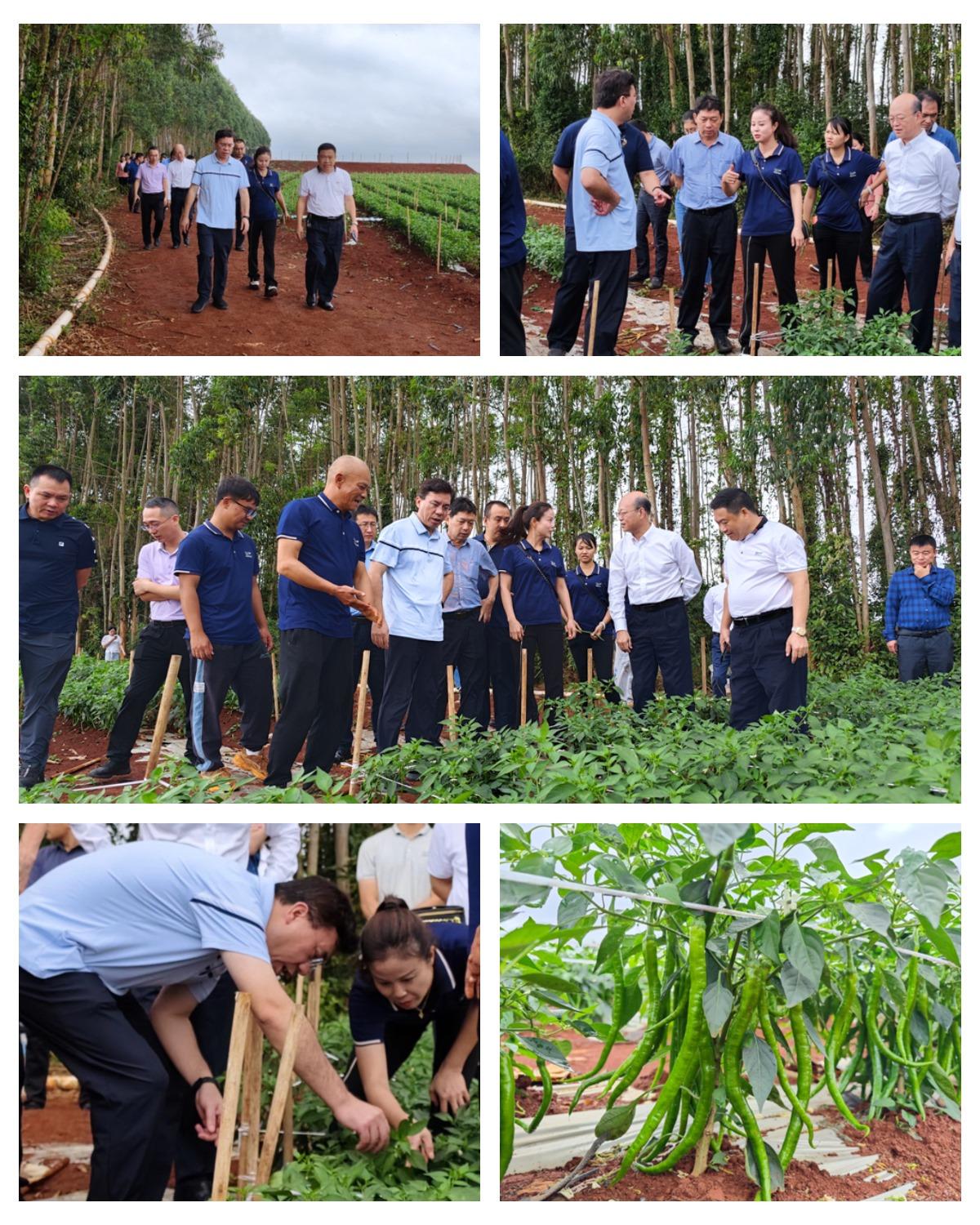 Z6·尊龙凯时「中国区」官方网站