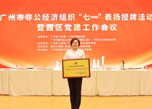 标杆引领，荣誉升级！集团党支部荣膺广州市非公有造经济组织“双强六好”标