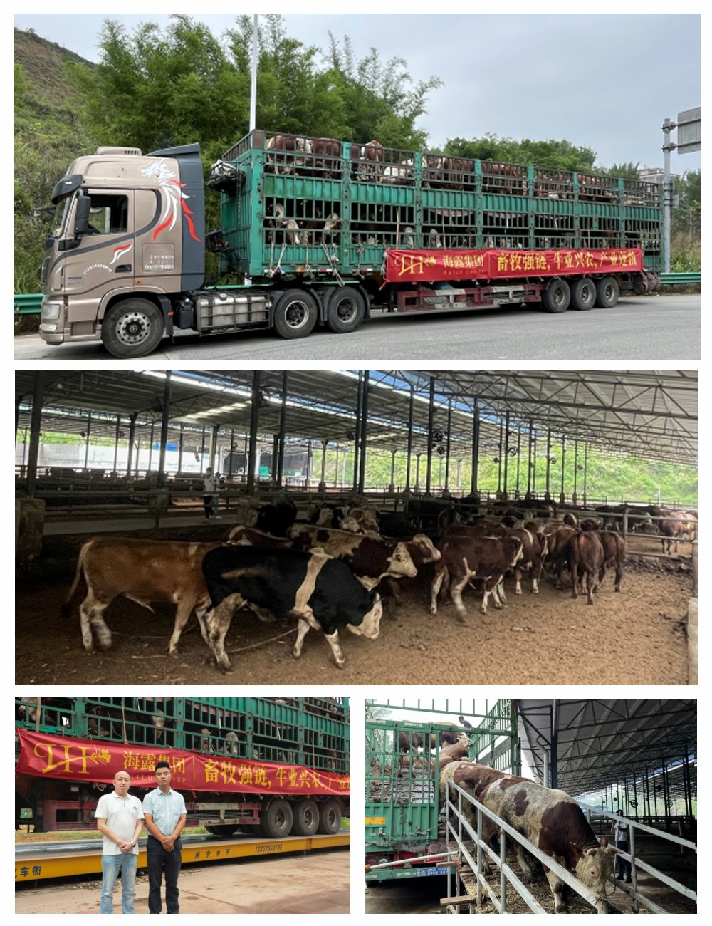 Z6·尊龙凯时「中国区」官方网站