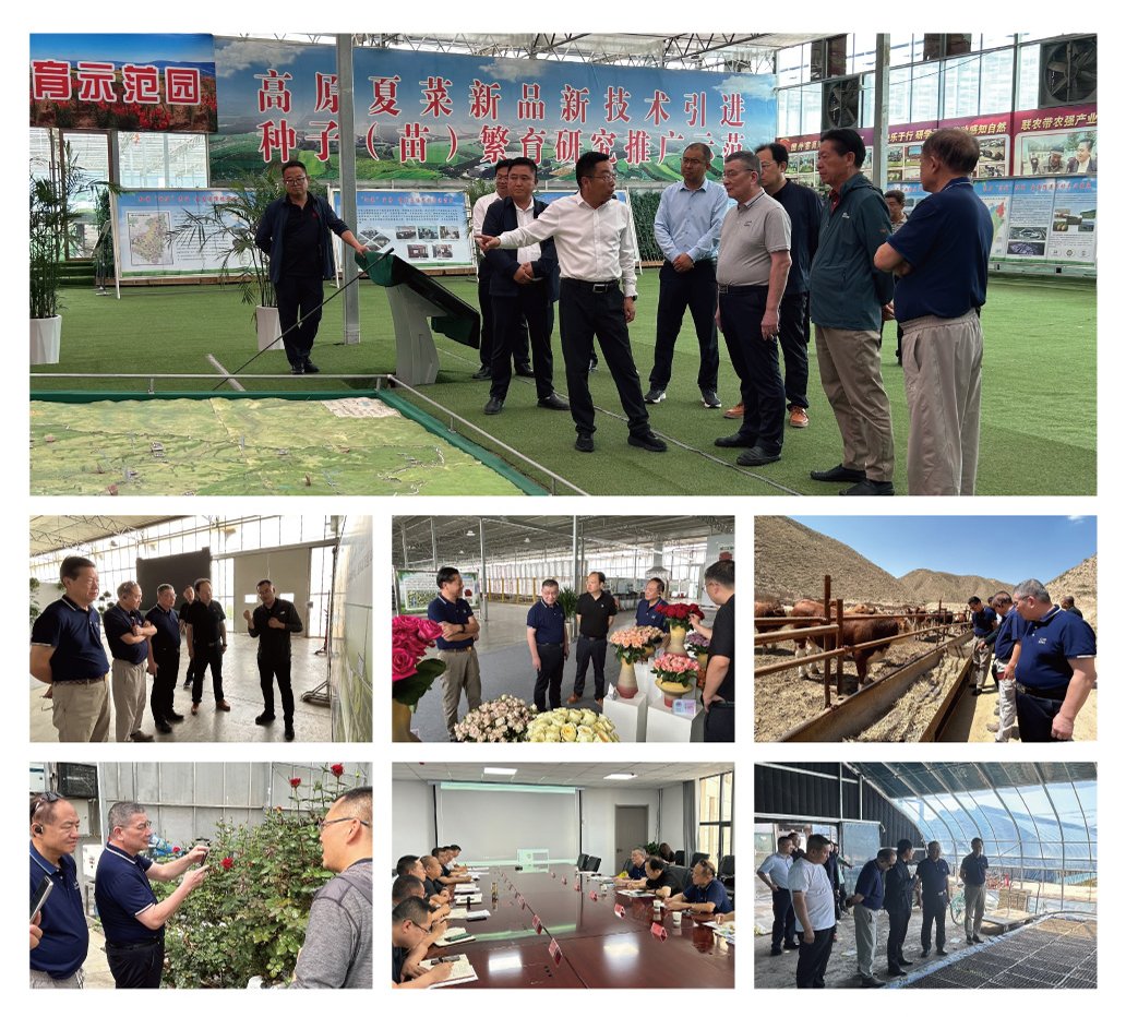 Z6·尊龙凯时「中国区」官方网站