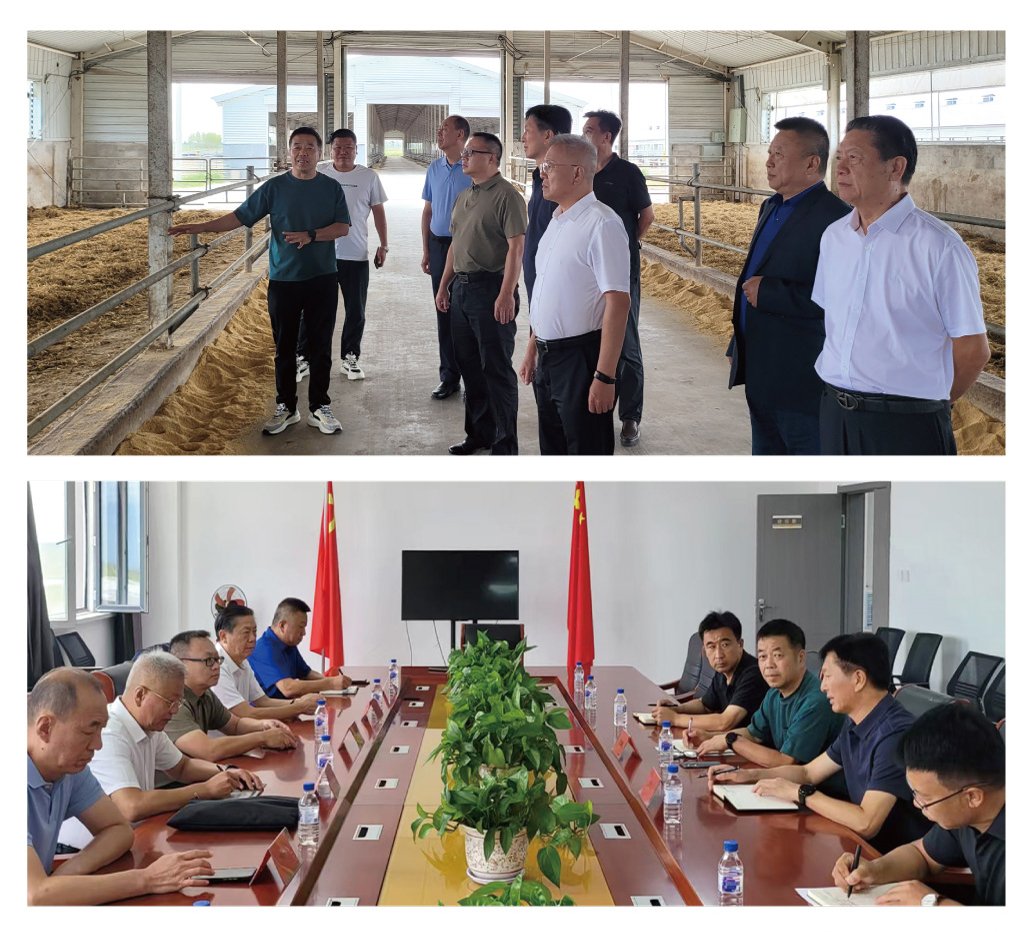 Z6·尊龙凯时「中国区」官方网站